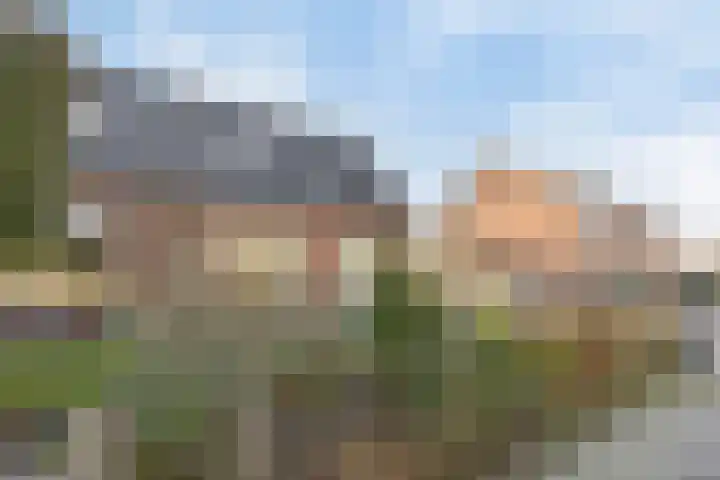Langedijk 14 Assen thumbnail 41