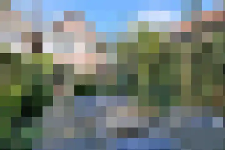 Langedijk 25 Koekange thumbnail 53