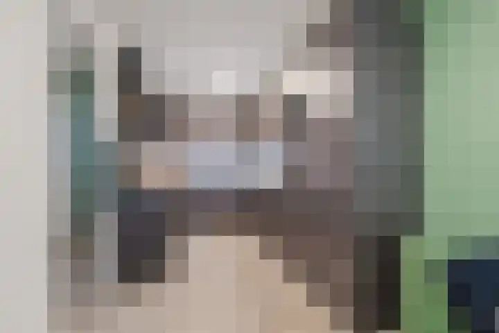 Langedijk 25 Koekange thumbnail 55