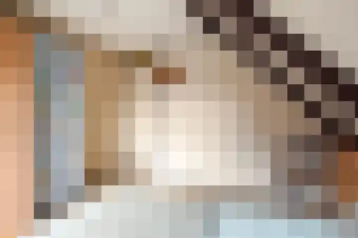 Langedyk 25 Alde Leie thumbnail 20