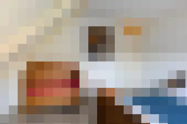 Langedyk 25 Alde Leie thumbnail 22