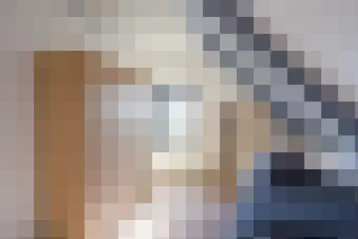 Langedyk 25 Alde Leie thumbnail 23