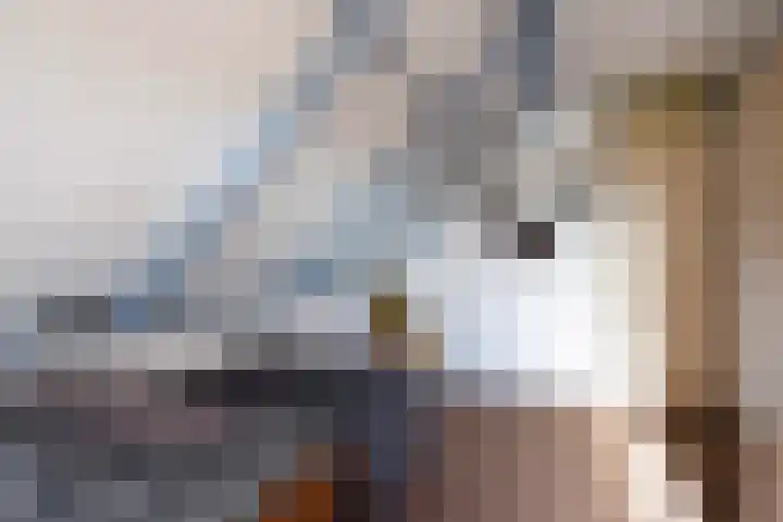 Langedyk 25 Alde Leie thumbnail 24