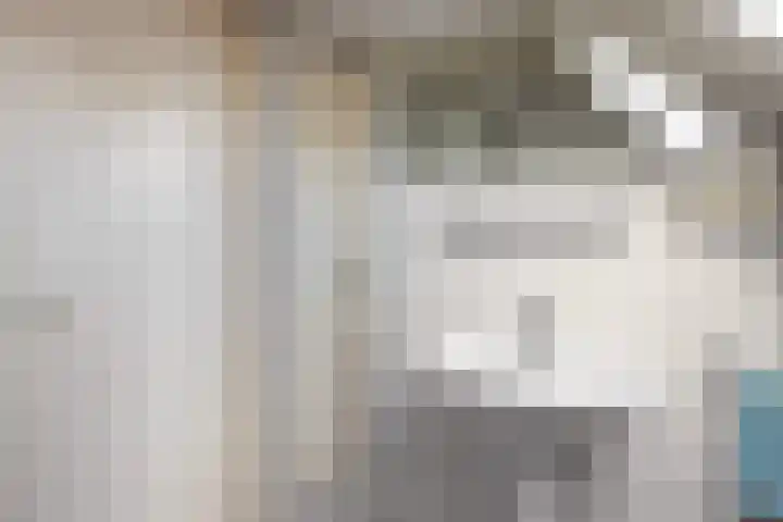 Langedyk 25 Alde Leie thumbnail 27