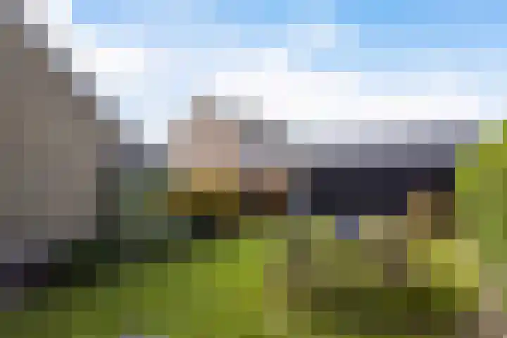 Langedyk 25 Alde Leie thumbnail 30
