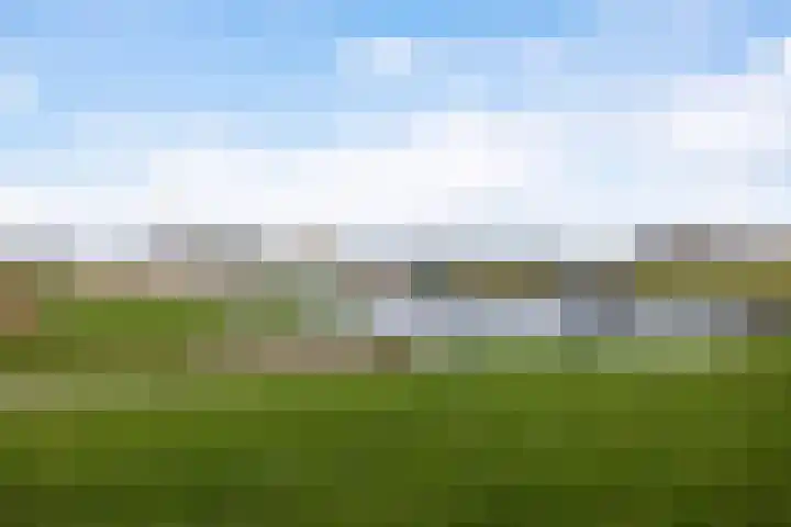 Langedyk 25 Alde Leie thumbnail 38