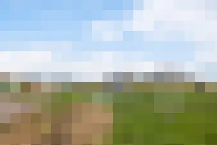 Langedyk 25 Alde Leie thumbnail 39