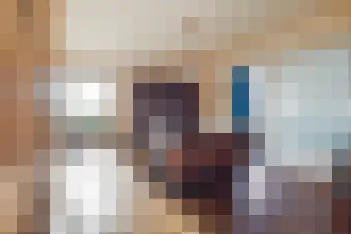 Langedyk 25 Alde Leie thumbnail 8