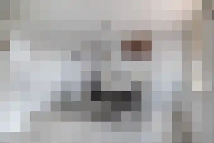 Langeleegte 12 Veendam thumbnail 11