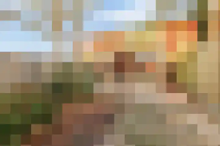 Langeleegte 12 Veendam thumbnail 35
