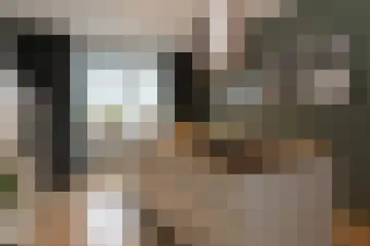 Langeleegte 155 Veendam thumbnail 12