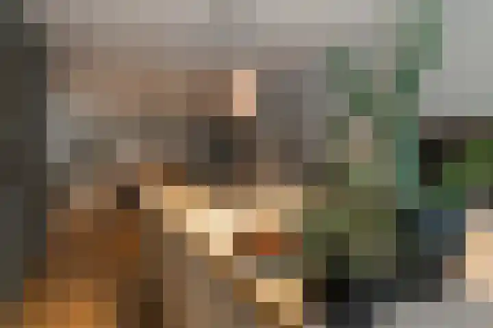 Langeleegte 155 Veendam thumbnail 14