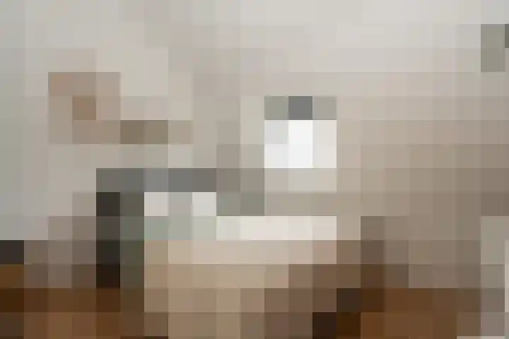 Langeleegte 155 Veendam thumbnail 24