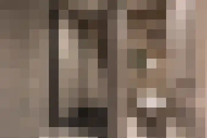 Langeleegte 155 Veendam thumbnail 32