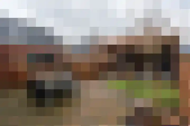 Langeleegte 155 Veendam thumbnail 35