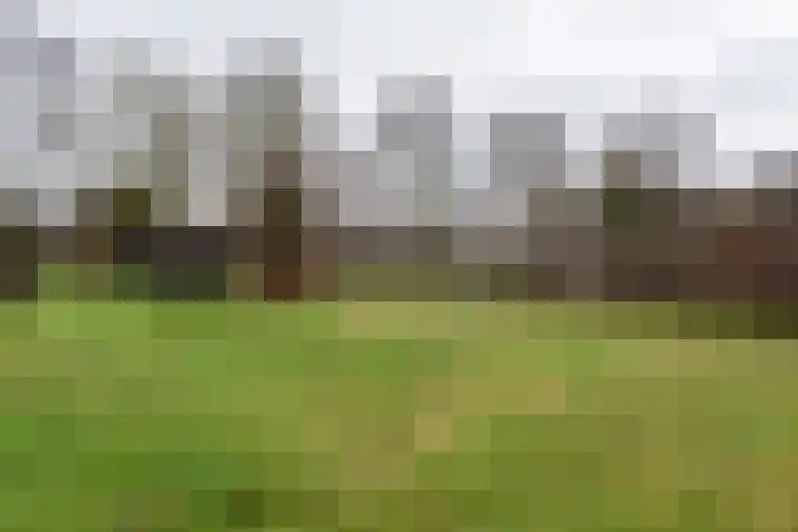 Langeleegte 155 Veendam thumbnail 40