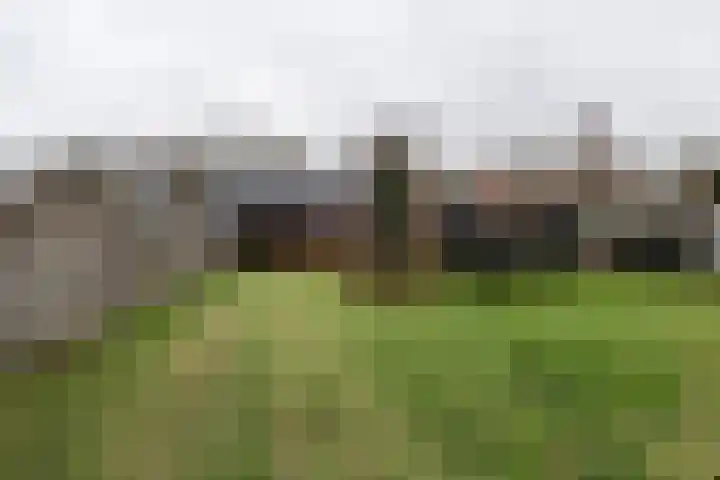 Langeleegte 155 Veendam thumbnail 41