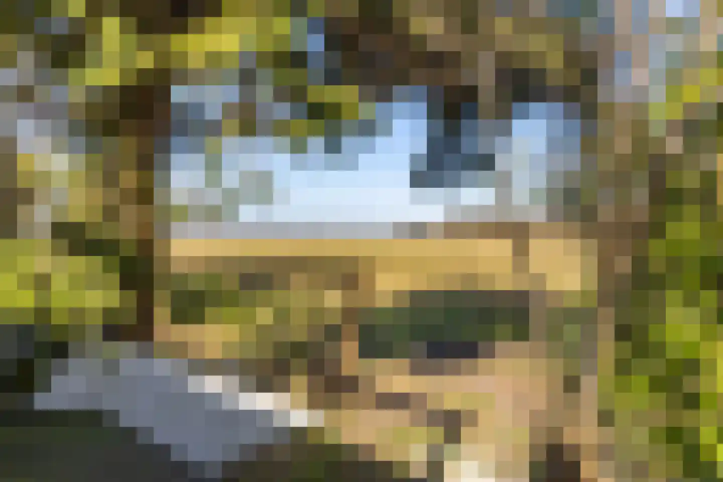 Langeleegte 161 Veendam thumbnail 39