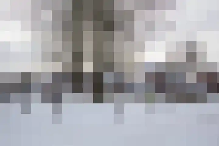 Langemeer 45 Kaatsheuvel thumbnail 18