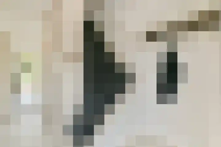 Langemeerstraat 4 Edam thumbnail 5