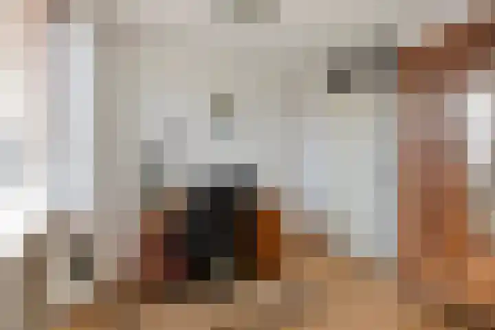 Langemeet 103 Goes thumbnail 26