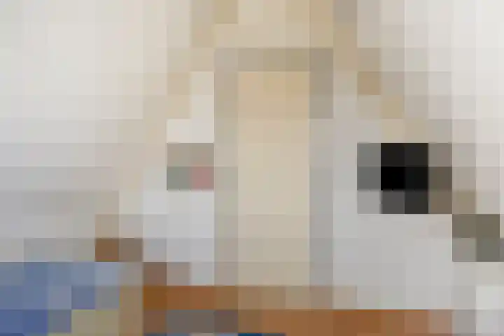 Langemeet 103 Goes thumbnail 34