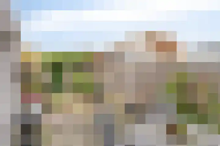 Langemeet 103 Goes thumbnail 35