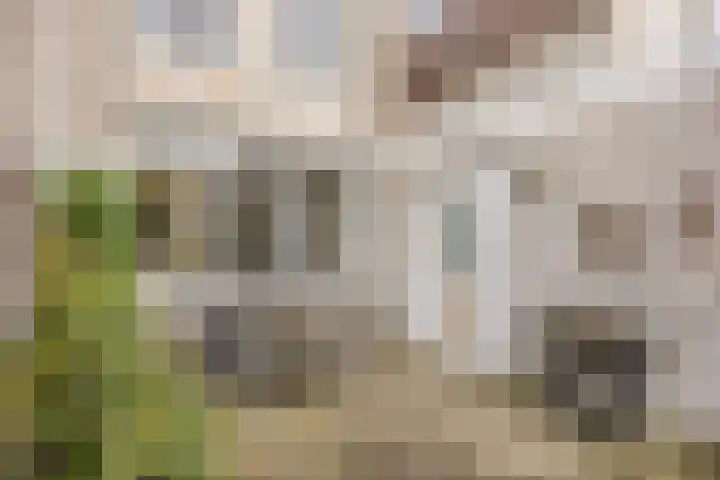 Langemeet 103 Goes thumbnail 36