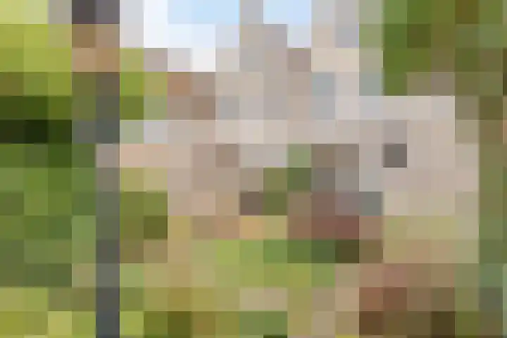 Langemeet 103 Goes thumbnail 38