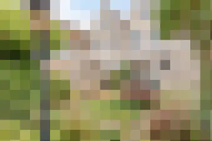 Langemeet 103 Goes thumbnail 5
