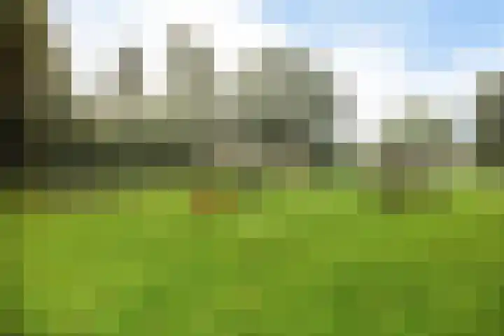 Langemeet 103 Goes thumbnail 8