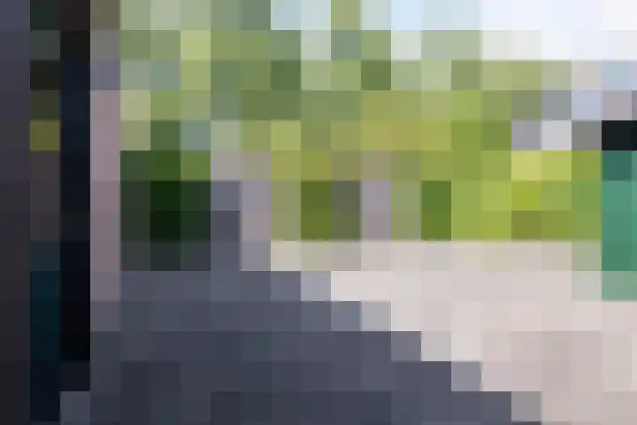 Langemeet 36 Goes thumbnail 32