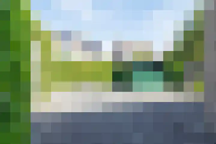 Langemeet 36 Goes thumbnail 33
