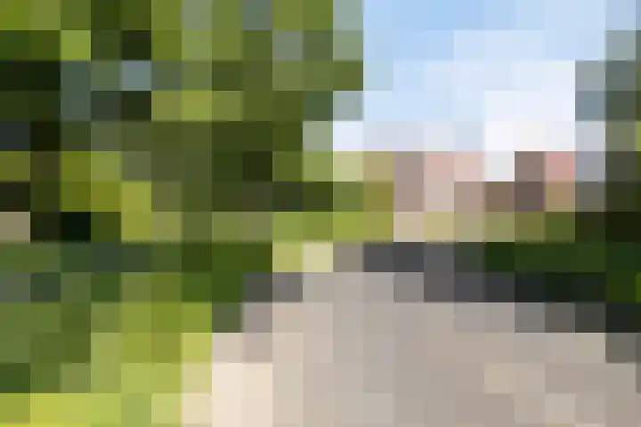 Langemeet 36 Goes thumbnail 38