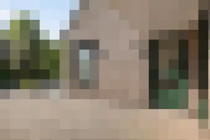 Langemeet 36 Goes thumbnail 39