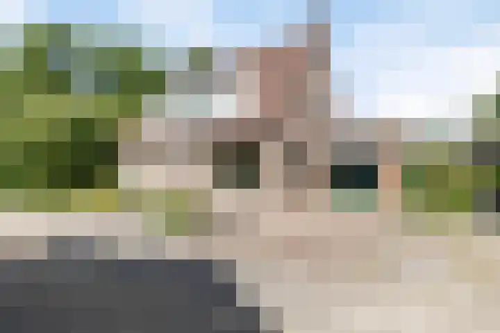Langemeet 36 Goes thumbnail 46