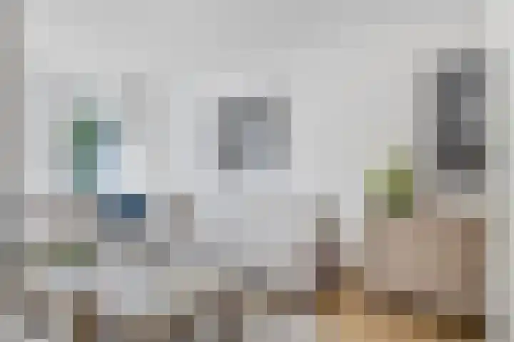 Langemeet 36 Goes thumbnail 7