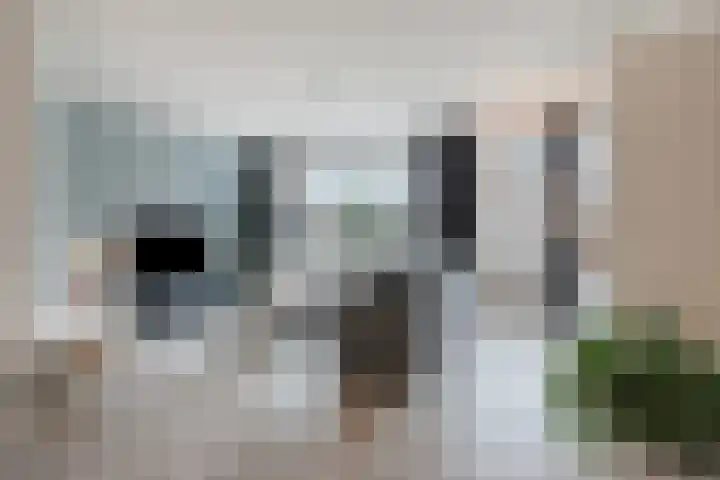 Langenakker 112 Mierlo thumbnail 10