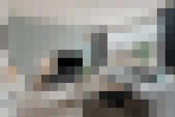 Langenakker 112 Mierlo thumbnail 11