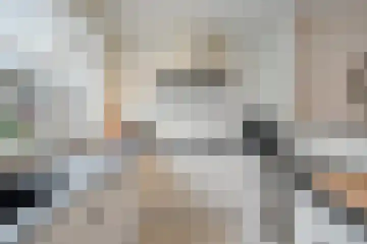 Langenakker 112 Mierlo thumbnail 19