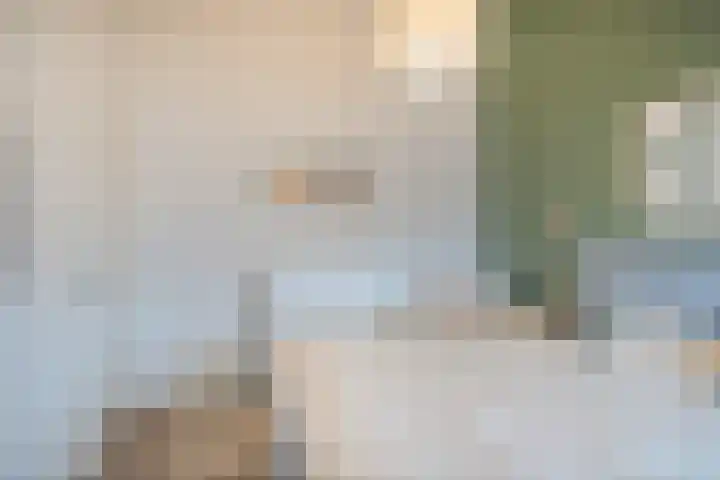 Langenakker 112 Mierlo thumbnail 27