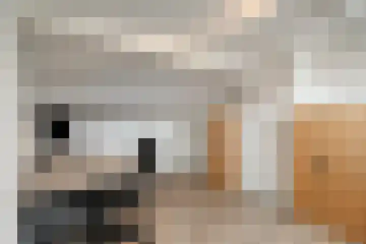 Langenakker 112 Mierlo thumbnail 39