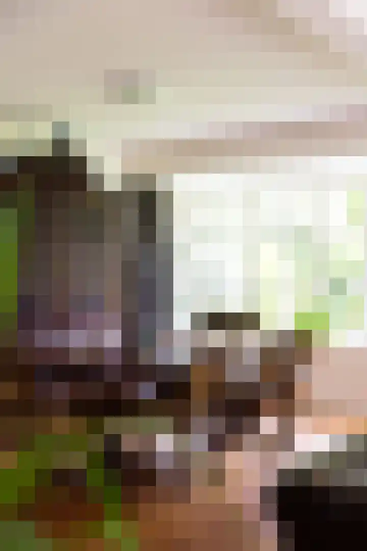 Langenbergerweg 5 Bathmen thumbnail 11