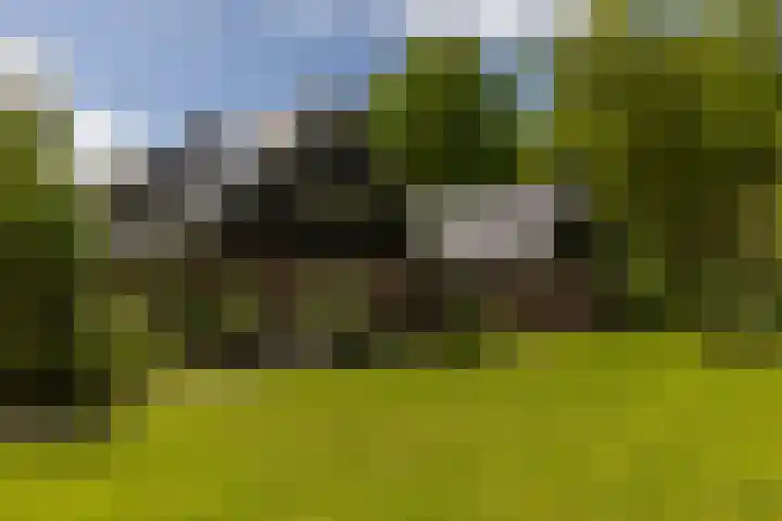 Langenbergerweg 5 Bathmen thumbnail 57