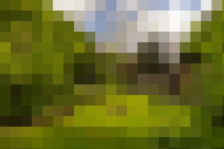 Langenbergerweg 5 Bathmen thumbnail 58