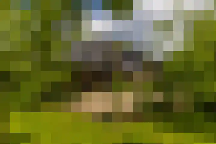 Langenbergerweg 5 Bathmen thumbnail 60