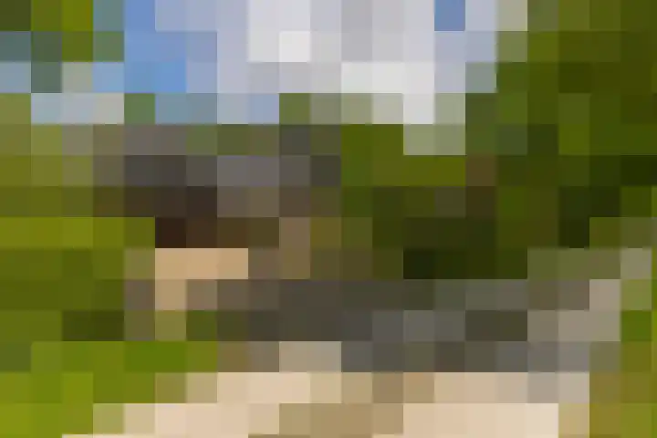 Langenbergerweg 5 Bathmen thumbnail 61
