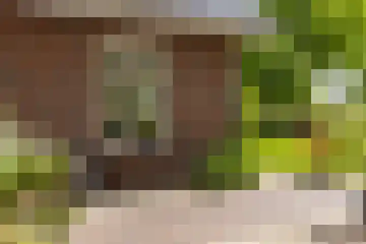 Langenbergerweg 5 Bathmen thumbnail 65