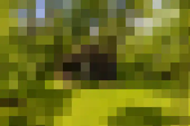 Langenbergerweg 5 Bathmen thumbnail 67
