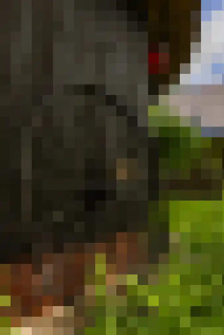 Langenbergerweg 5 Bathmen thumbnail 68